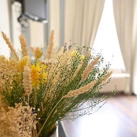 Apartamento Notre Dame