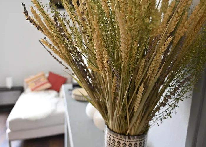 Résidence Notre Dame Châtellerault